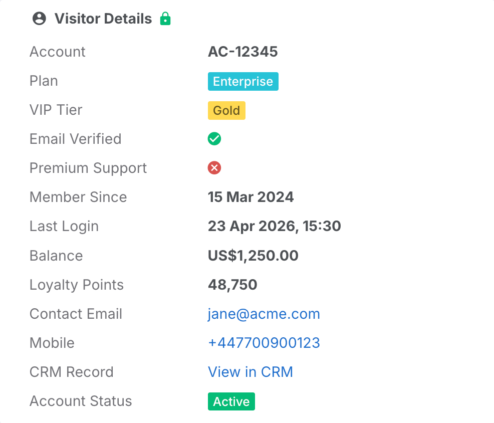Agent Chat showing verified user details passed via JWT, including identity fields, status badges, and custom data in the user panel
