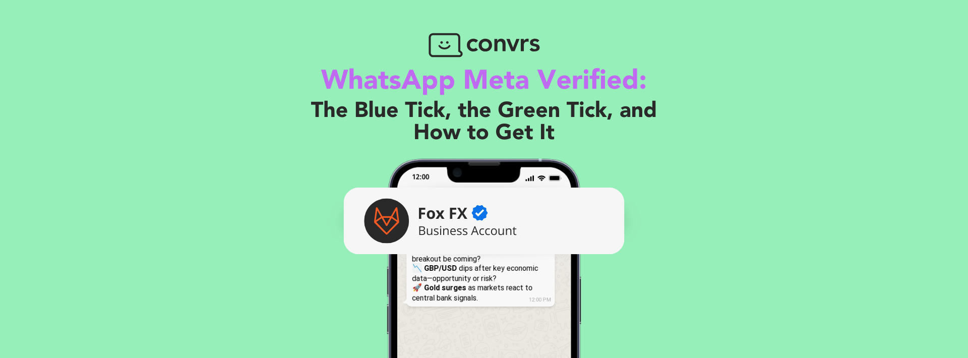 Convrs Official WhatsApp Business Provider for Meta Verified WhatsApp Blue Tick Green Tick